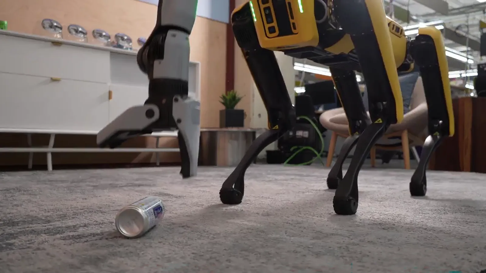 Ein Roboterhund räumt auf