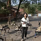 Autonome Waffensysteme: China testet vernetzte Roboterwölfe