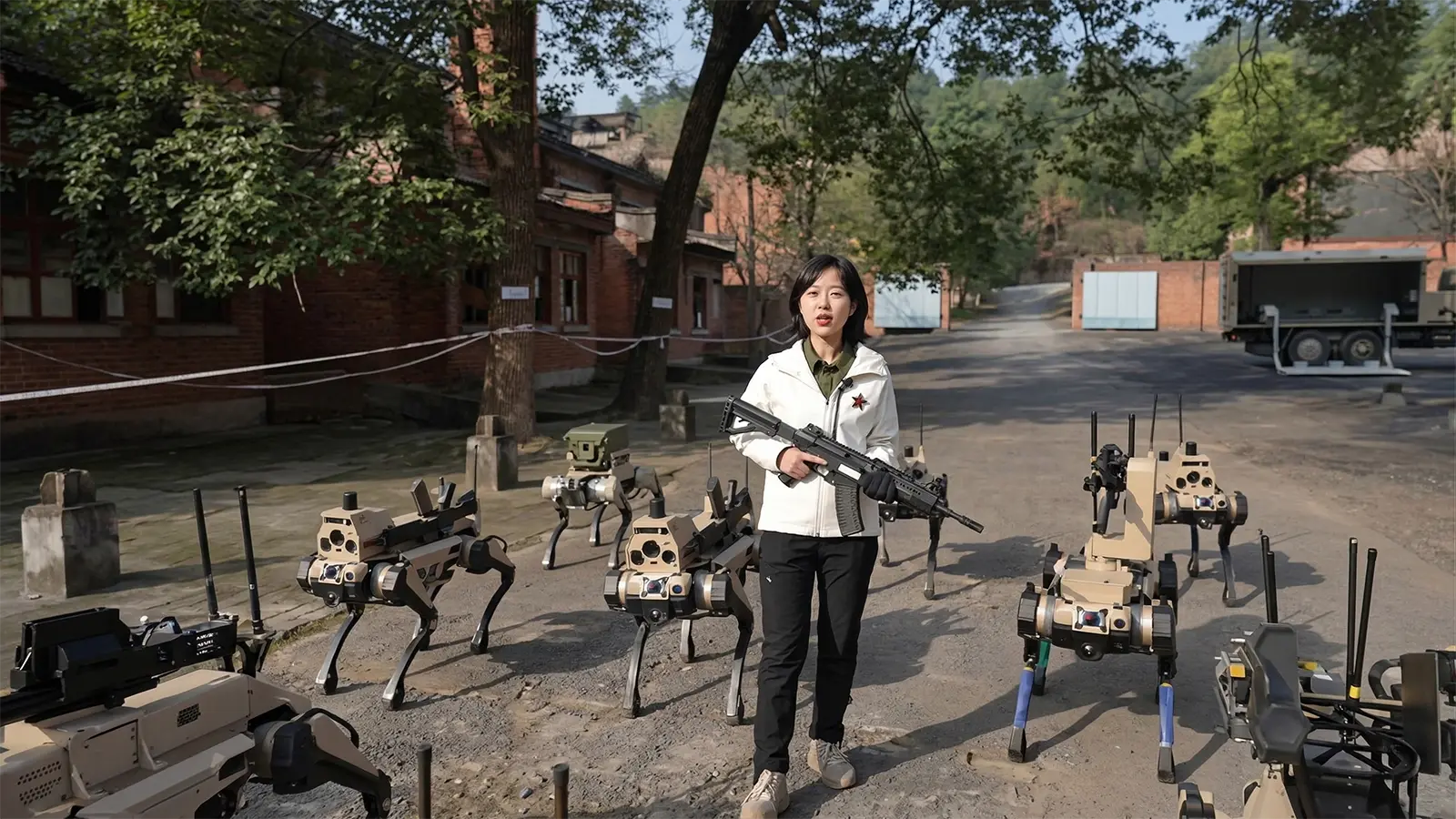 Eine Frau mit Roboterwoelfen