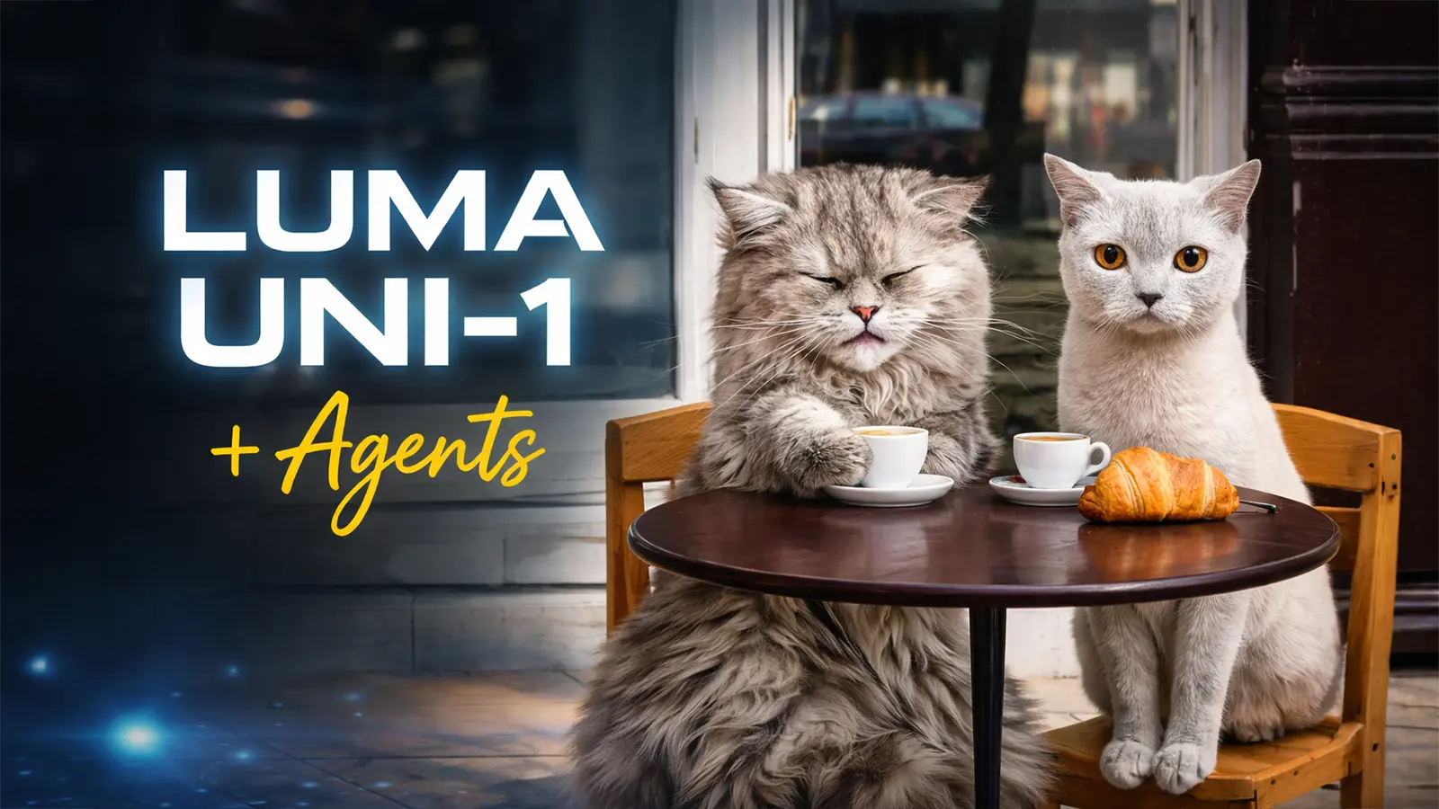 Zwei Katzen sitzen im Cafe