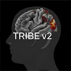 Meta TRIBE v2: Neues KI-Modell analysiert Gehirnaktivitäten