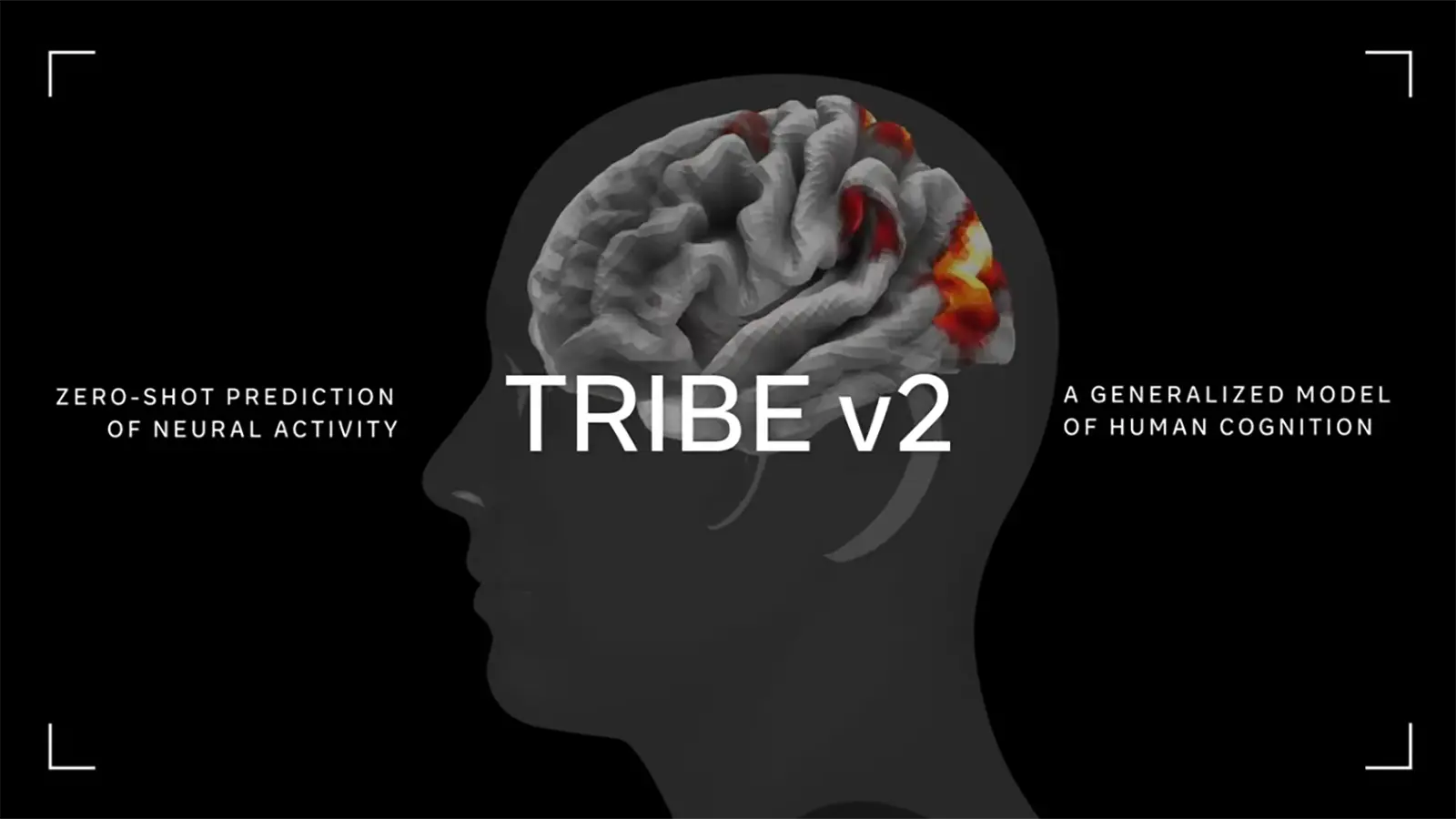 Ein Gehirn wird kenntlich gemacht