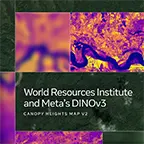 Naturschutz: Wie hoch ist der Wald?