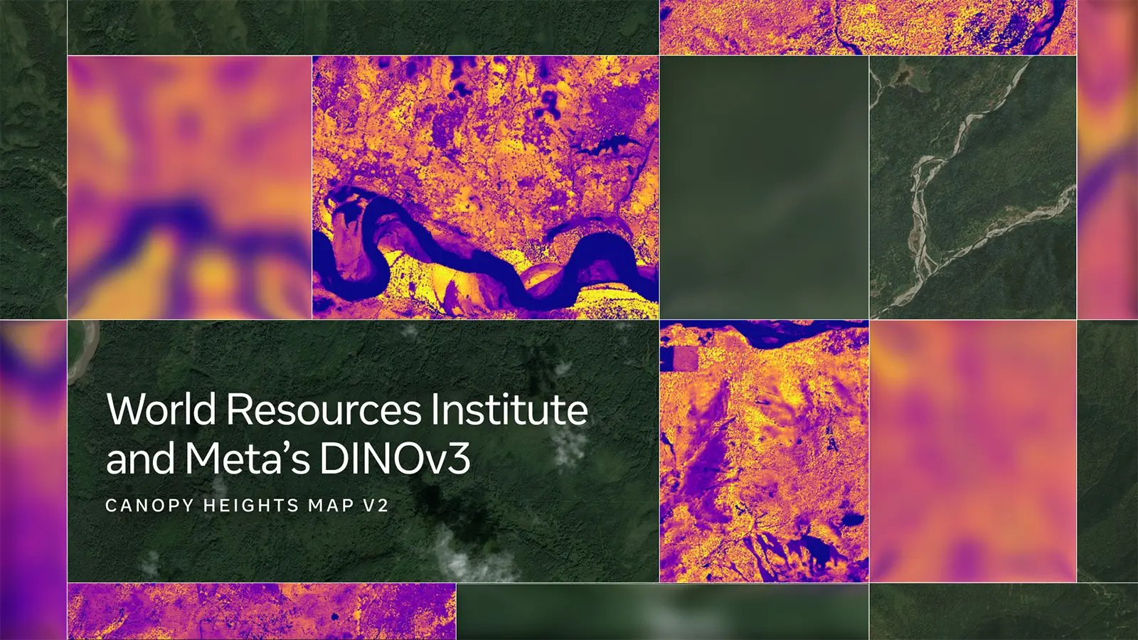 Ein Meta Bild mit Wäldern aus dem All