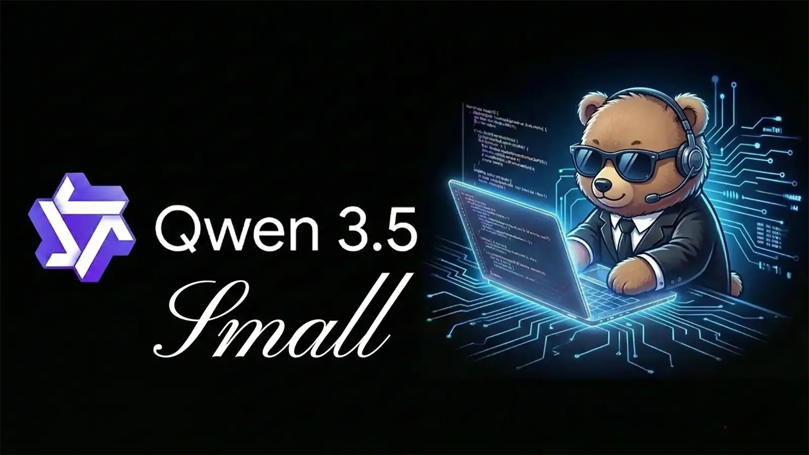 Ein junger Bär programmiert