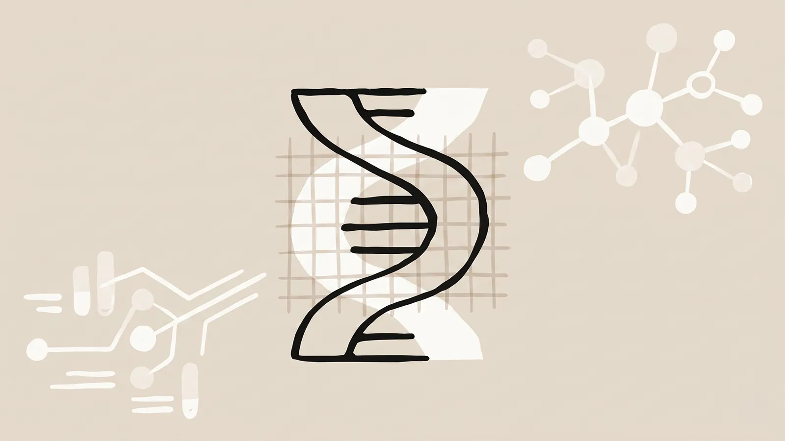 ein anthropic protein bild