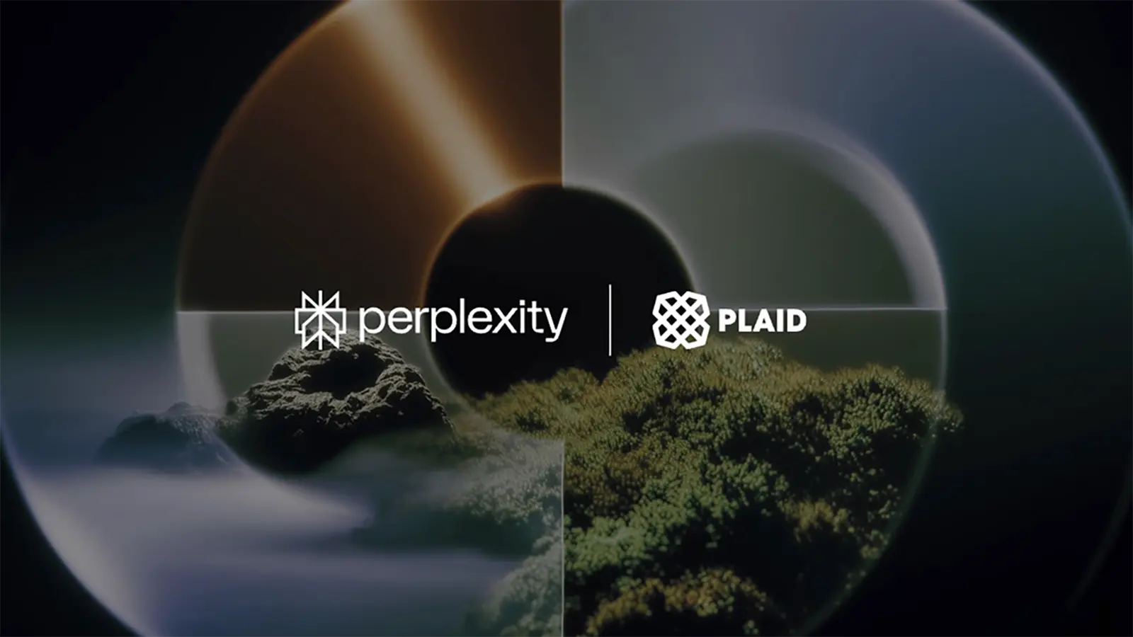 Ein Perplexity Dashboard