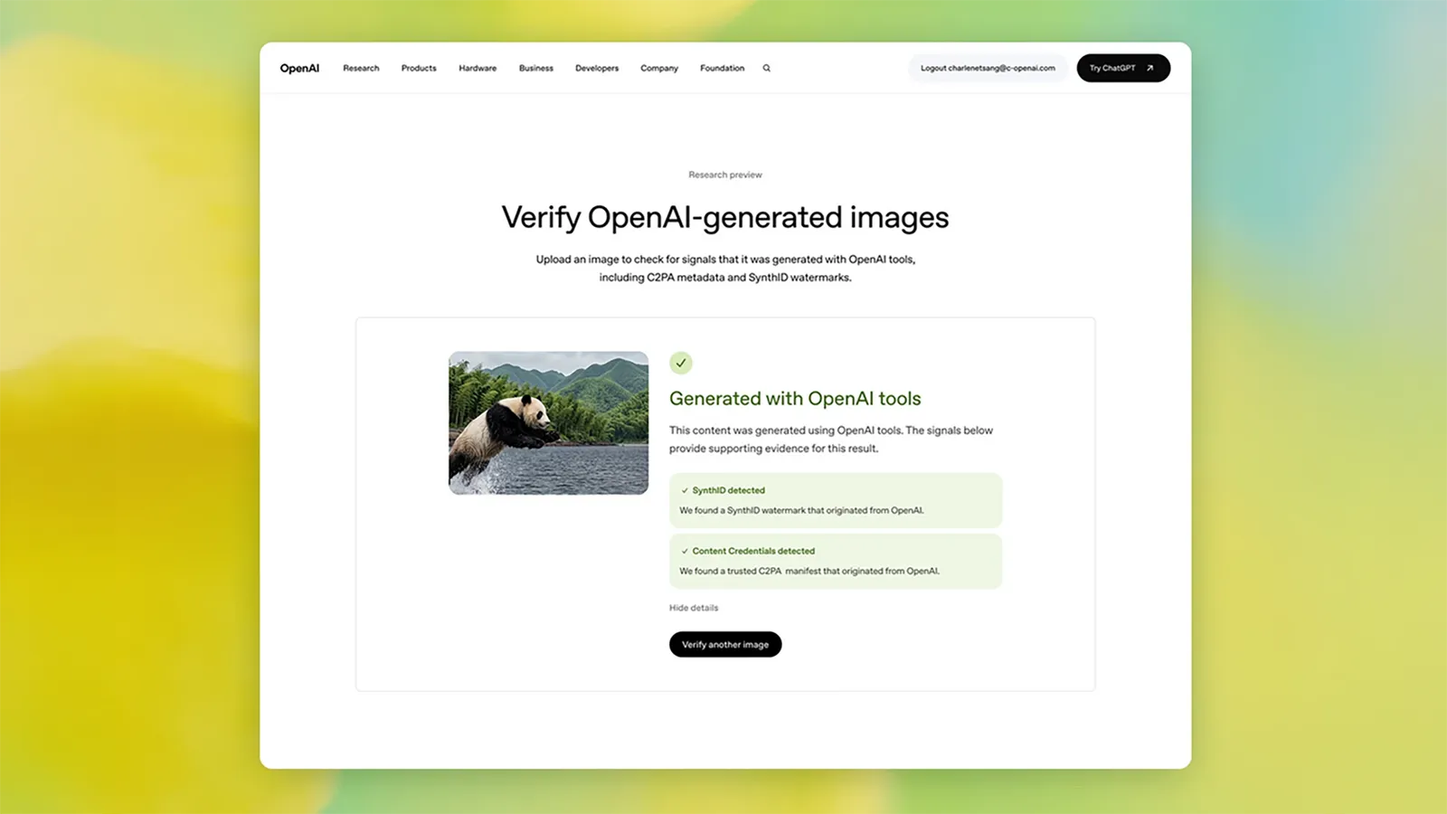 ein openai bild wird erkannt