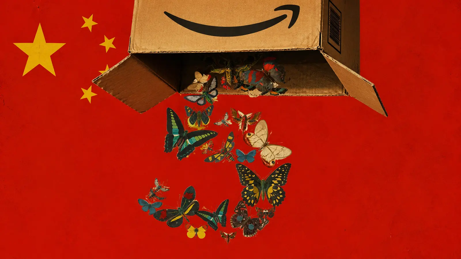 Schmetterlinge werden von Amazon eingefangen