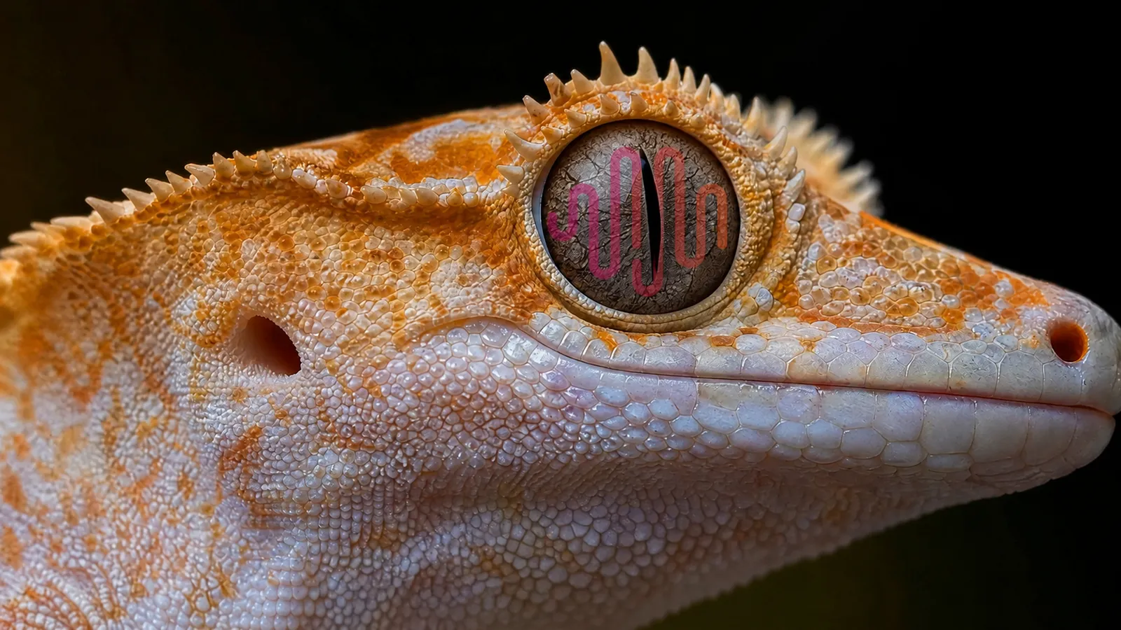 Ein Tier mit Minimax Logo im Auge