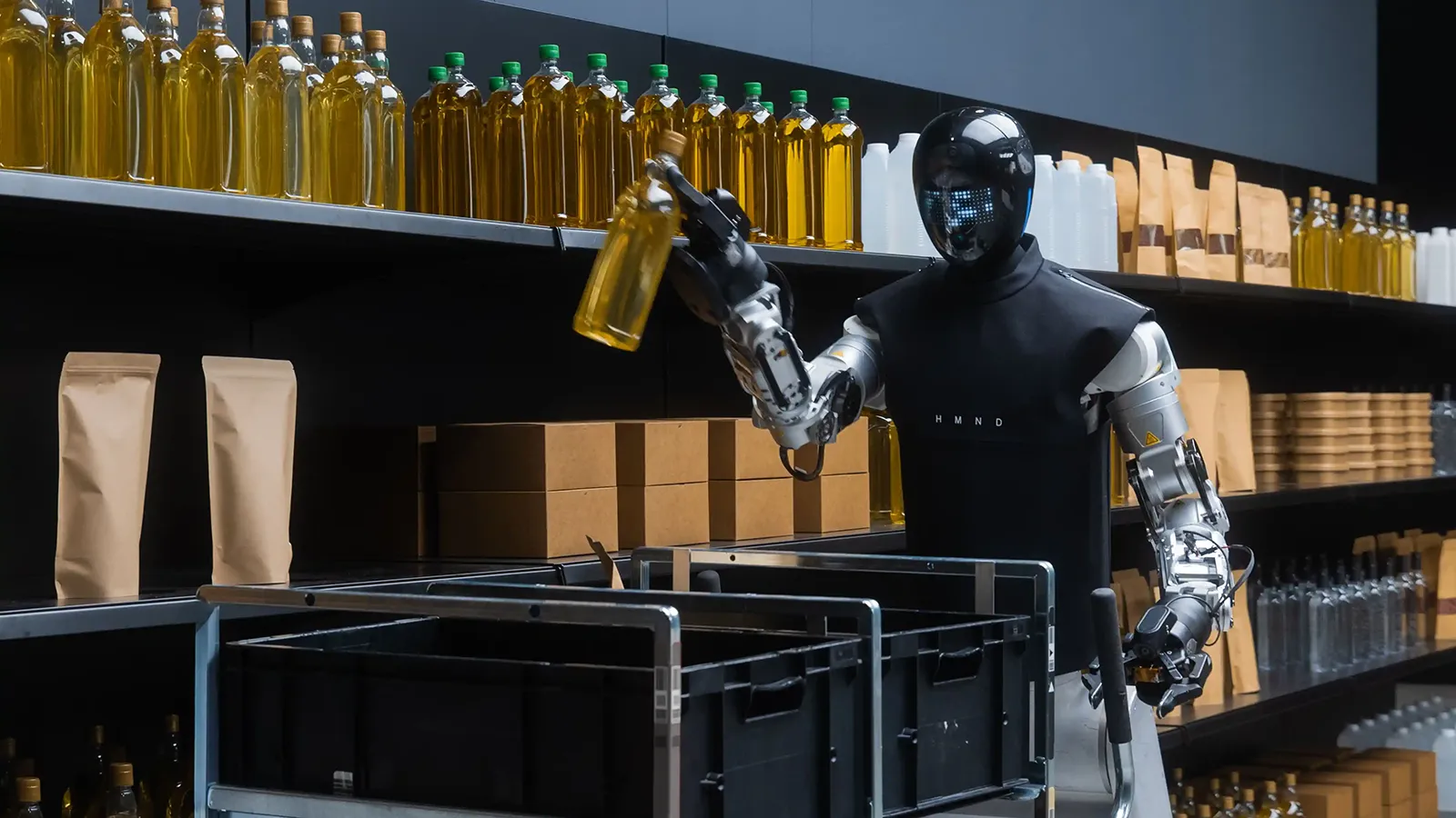Humanoid Roboter