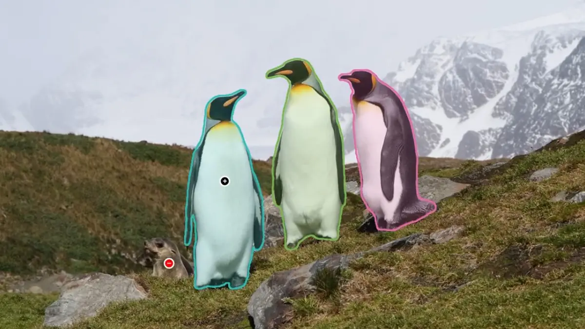 3 Pinguine erkannt von Meta Sam