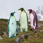 Meta SAM 3 ist da: So stark verbessert sich die Bilderkennung