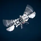 Besser als die Natur? MIT-Drohne übertrifft biologische Vorbilder